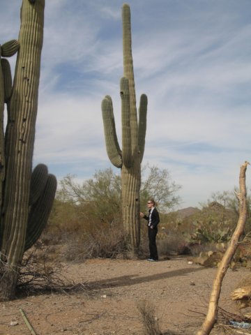 arizona2012.jpg